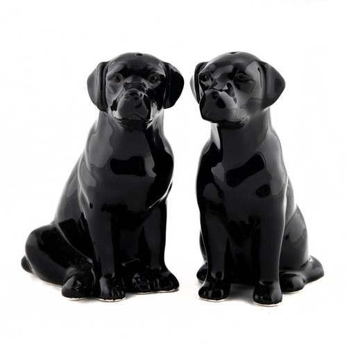 Set sale pepe per cani - sale, e