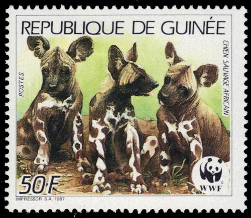 Repubblica della guinea 1069 - della,